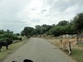 DSC00791