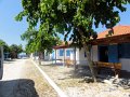 DSC00894