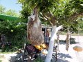 DSC00941