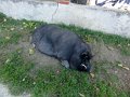 DSC05436
