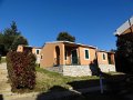DSC07736