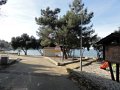 DSC07805