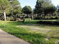 DSC07829