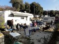 DSC05654