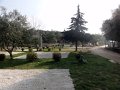 DSC05539