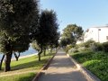 DSC09505