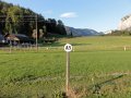 DSC03502