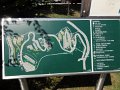 DSC02478