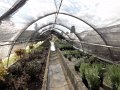 DSC09319
