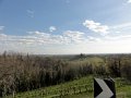 DSC09340