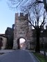 DSC08996