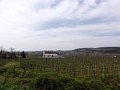 DSC09059