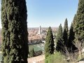 DSC08898