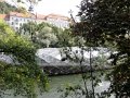 DSC03990