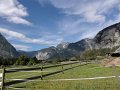 DSC03636