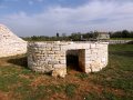 DSC04941