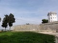 DSC05087
