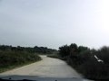 DSC05142