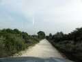 DSC05144