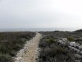 DSC05150