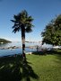 DSC04850