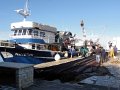DSC04851