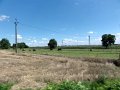 DSC08336