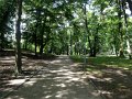 DSC08570