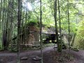 DSC08705