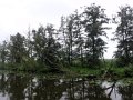 DSC08884