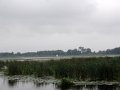 DSC08890