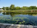 DSC09051