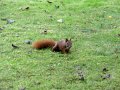 DSC00241