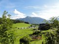 DSC00977