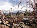 DSC05801