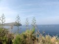 DSC06305