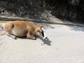 DSC06357
