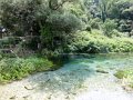 DSC06403