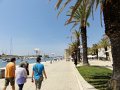 DSC04364
