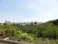 DSC04426
