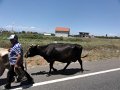 DSC05088