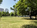 DSC05530