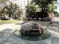 DSC05547