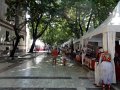 DSC05559