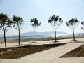 DSC05839