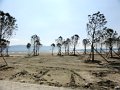 DSC05857