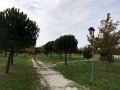 IMG_1262