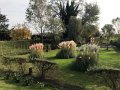 IMG_1281