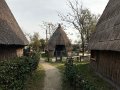 IMG_1310