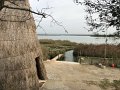 IMG_1315